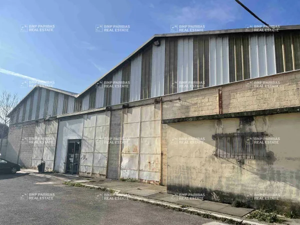 Local d'activité 1505 m² 
