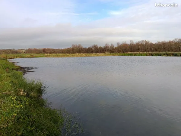 Terrain 2333 m² SAINT-JOSSE 