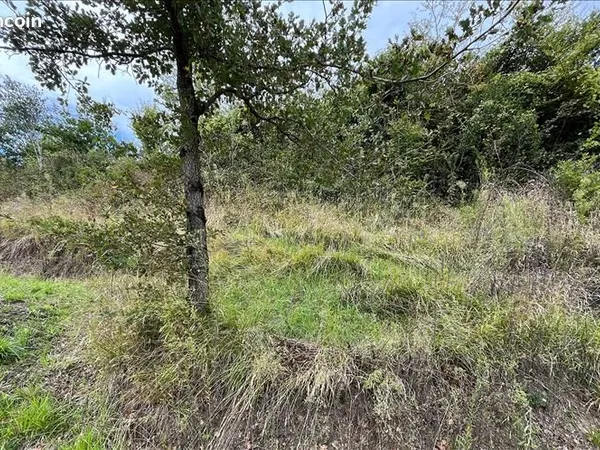 Terrain 1 684 m² Burlats 