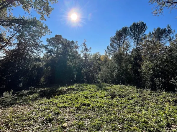 Terrain 7000 m² 