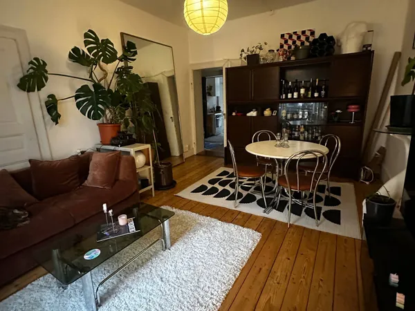 Sous-location Mars/Avril T3 71m² Strasbourg 