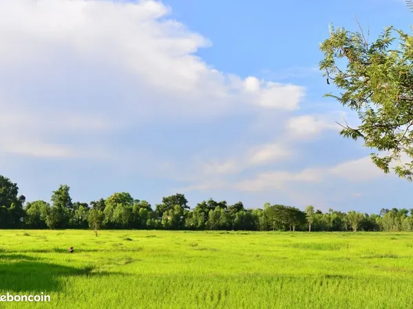 Terrain 333 m² Sainte Foy D Aigrefeuille 
