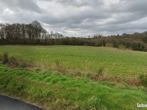 À VENDRE : Terrain exceptionnel de 10 117 m² en plein coeur de Plouisy 