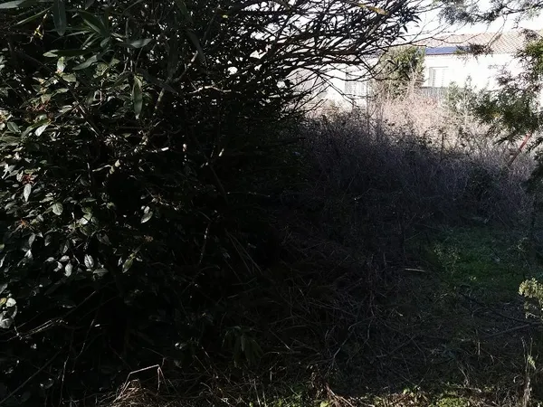 Terrain Vente Béziers  1970m² 320000€
