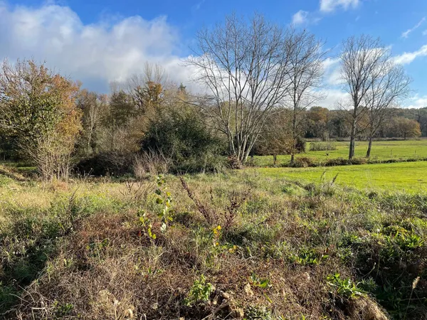 Terrain 700 m² - Cambon (81990) 