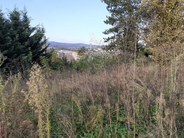 Terrain 750 m² 