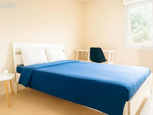 Chambre 1 pièce 31 m² 