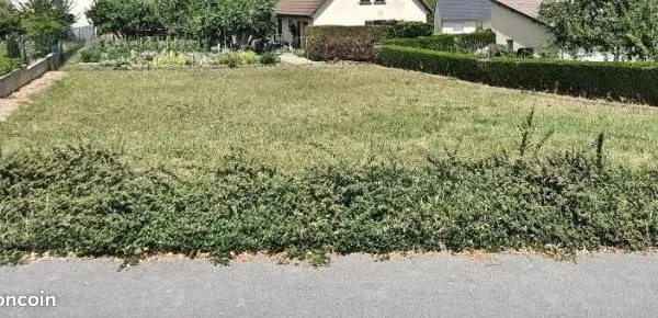Terrain 504 m² 