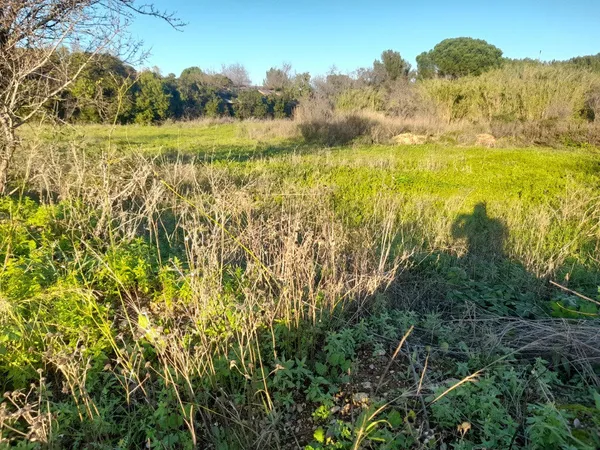 Terrain 1100 m² 