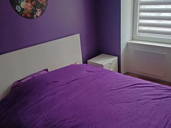 Maison Location Colmar   450€