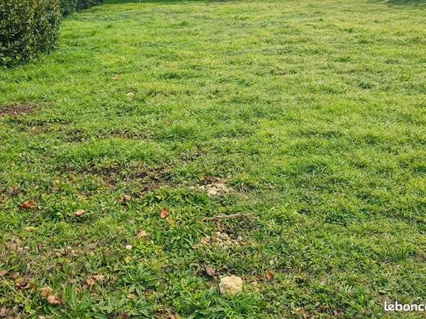Terrain 515 m² 
