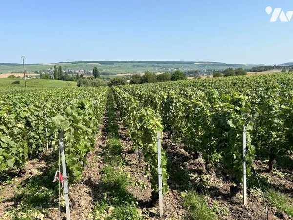 Terrain 1733 m² 