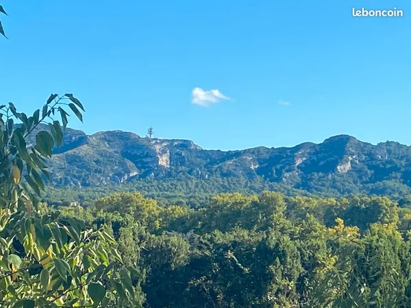 Mas Provençal 