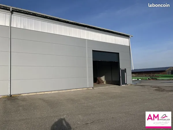 Local 900 m² Volgelsheim 