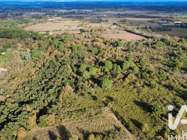 Terrain 17246 m² Laroque des Alberes 