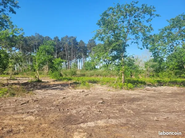 Terrain 510 m² Sanguinet 