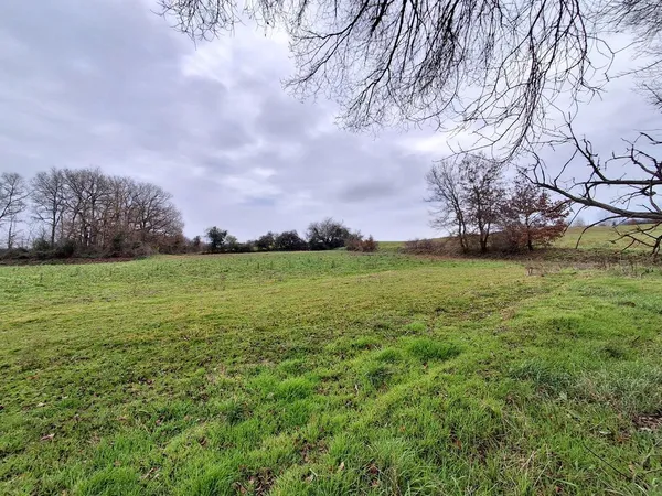 Terrain Vente Menville  9000m² 14000€