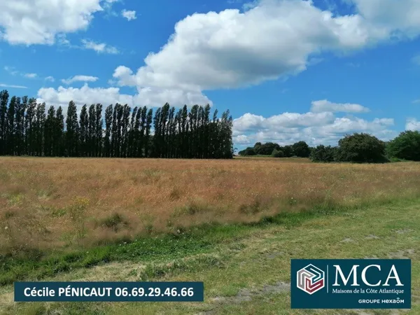 Terrain 427 m² 