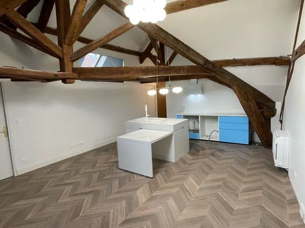 Grand appartement F2 haut standing 