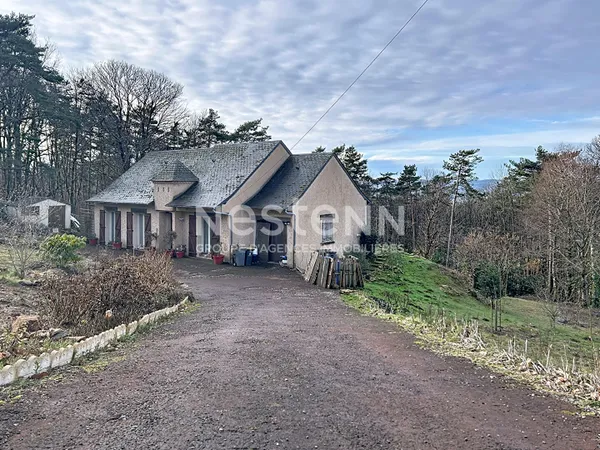 Maison de plain pied à vendre : Palazinges, 90m2 habitable, pièce de vie de 47m2, jardin arboré, 