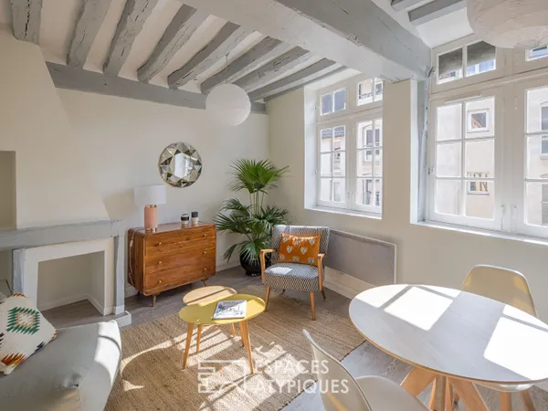 Charmant appartement meublé rénové quartier des Antiquaires 