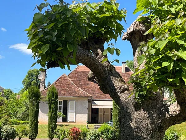 Vends maison périgourdine 
