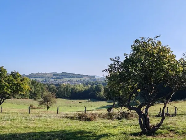 Terrain Vente Châtenois  14505m² 10000€