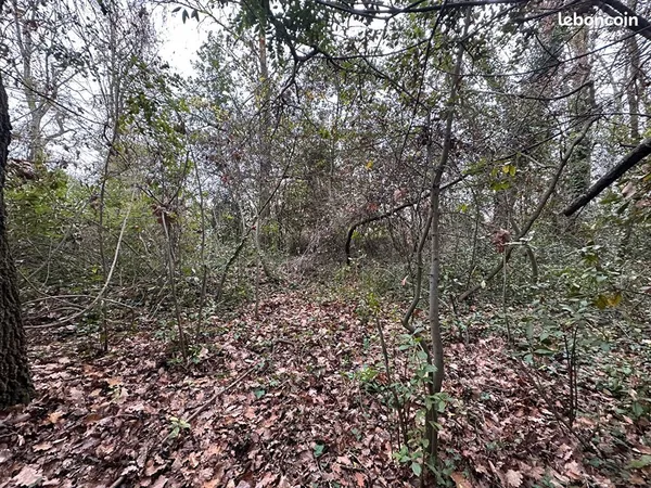 Terrain 5166 m² VILLEMOUSTAUSSOU 