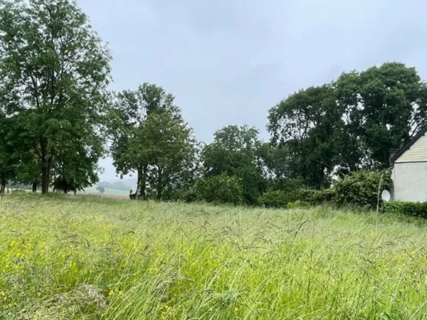 Terrain 800 m² 