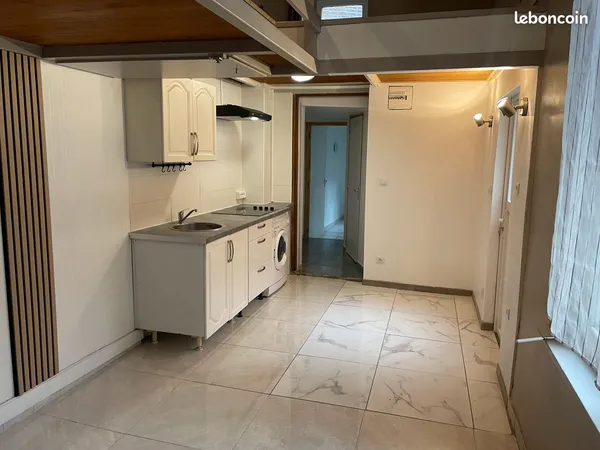 Grand appartement lille centre 