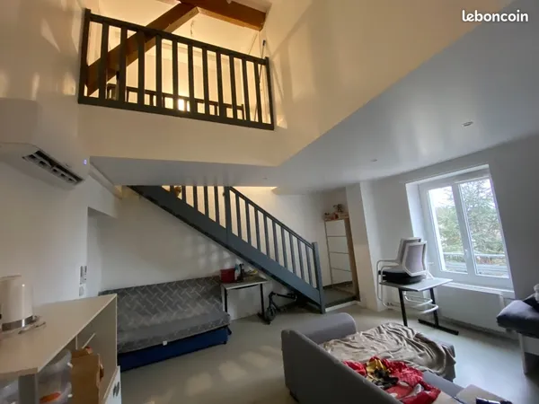Très grand duplex F2/F3 climatisé avec parking 