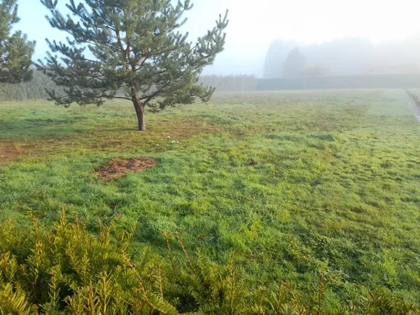 Terrain 1700 m² 