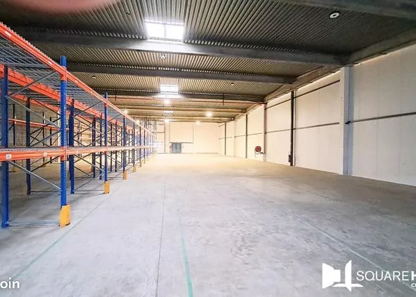 Local d'activité 1000 m² 