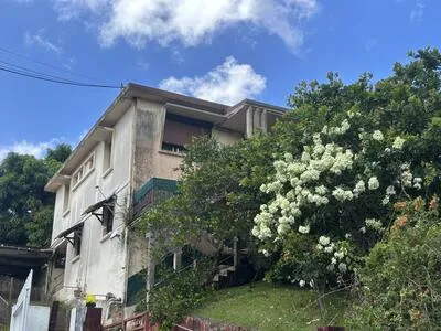 Fort-de-France Route de BALATA - Ensemble immobilier : 1 F4 + 2 F2 : 264 000€ 