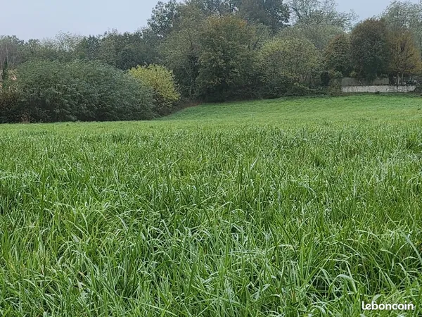 Terrain 543 m² Bourg Saint Christophe 