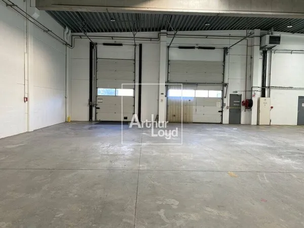 Local d'activité 3980 m² 