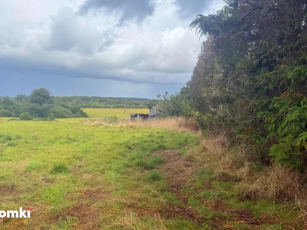 TERRAIN EXCEPTIONNEL (1,9 HECTARE) AVEC CHARMANTE BERGERIE - Havre de paix ! 