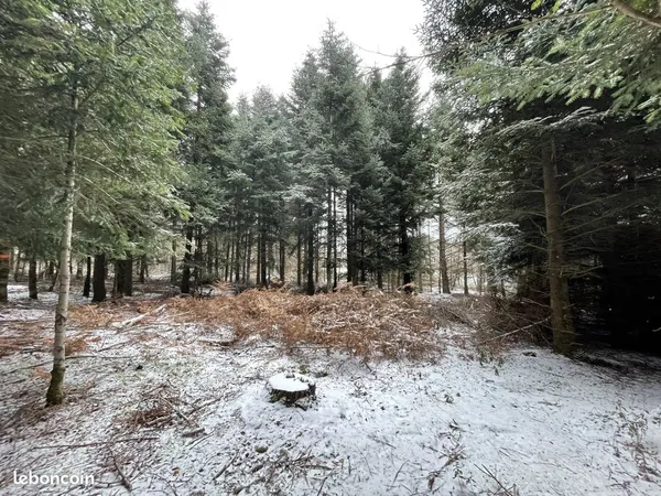 Terrain 1015 m² Lapte 