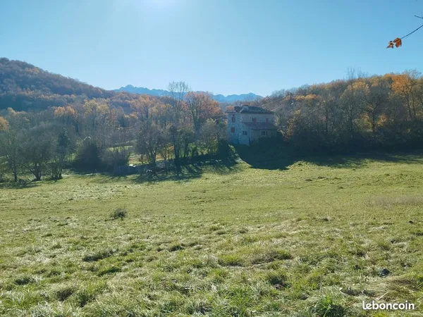 Terrain(s) constructible(s) + bois 