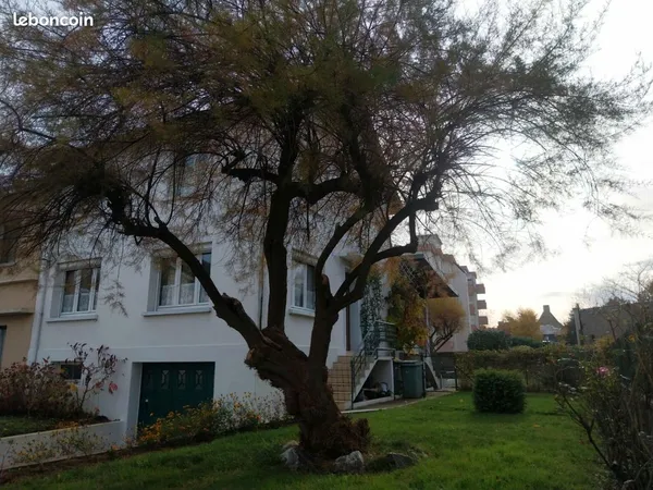 Maison beaux volumes proche centre ville charleville-mézières 