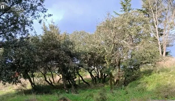 Terrain a batir 