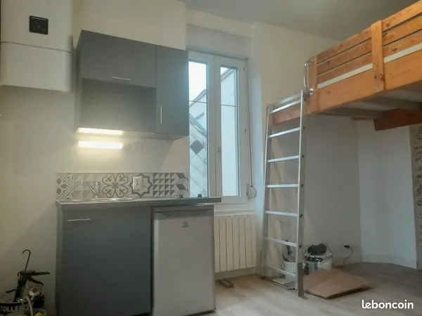 Studio rénové très lumineux quartier Ney 