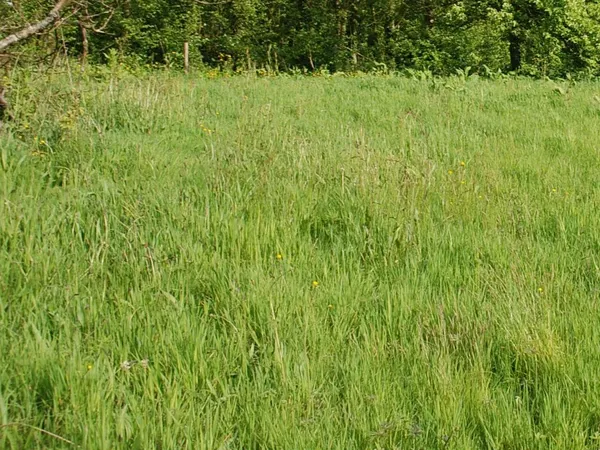 Terrain en individuel 704 m² 