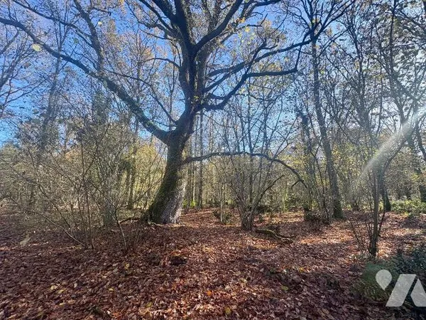 Terrain Vente La Ferté-Imbault   263500€