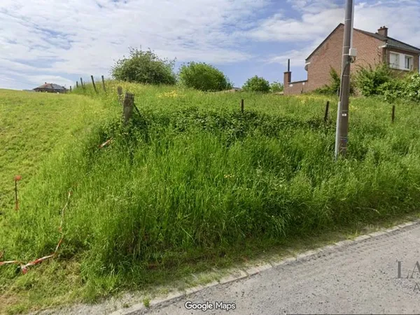 Terrain Maing 