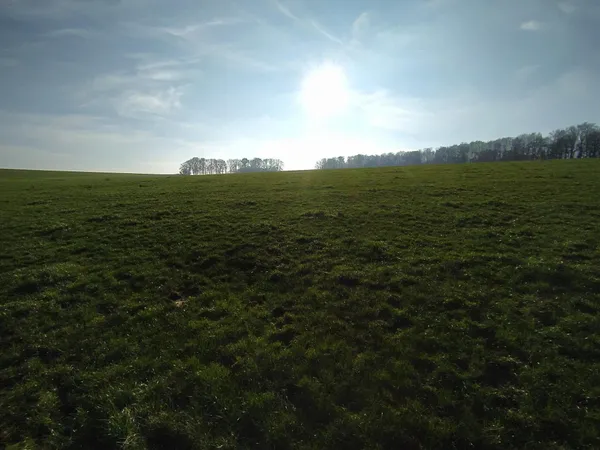 Terrain 1225m² 