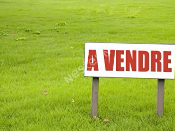 Terrain à bâtir, Saint Martin des Prés - 1070 m², viabilisé en eau et électricité. 
