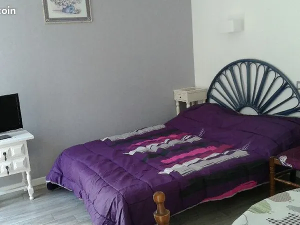 Studio 24m2 meublé et climatisé 