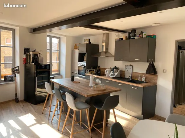 Appartement Loft 110m2 - Pierres Dorées - Lumineux- Aucun travaux 