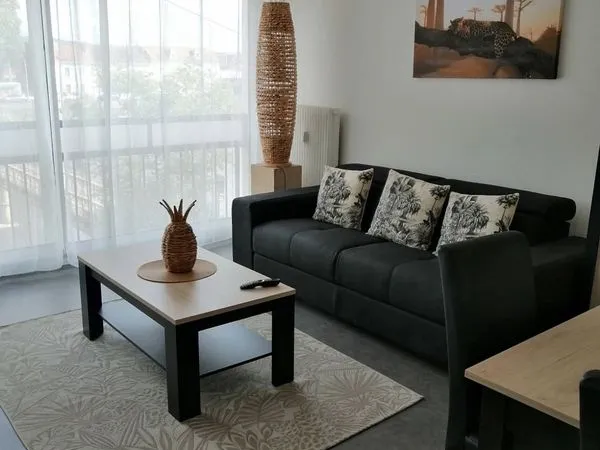 Appartement 45 m2 entièrement meublé 